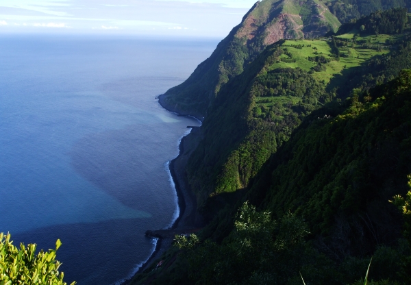 Florestas dos Açores